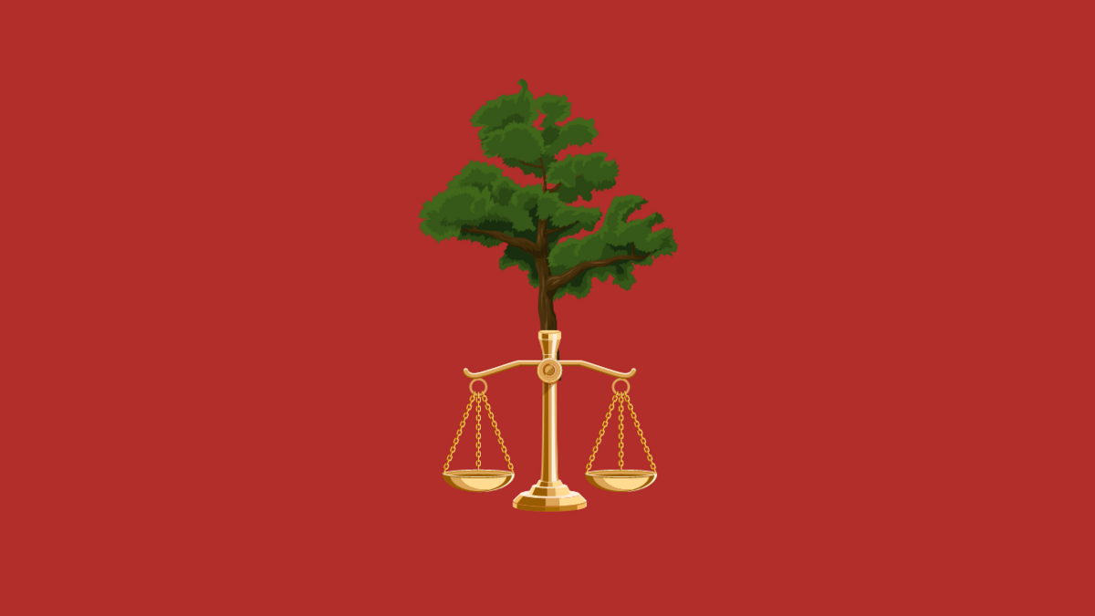 ZipTracker: Green Litigation and IPOs