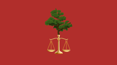 ZipTracker: Green Litigation and IPOs